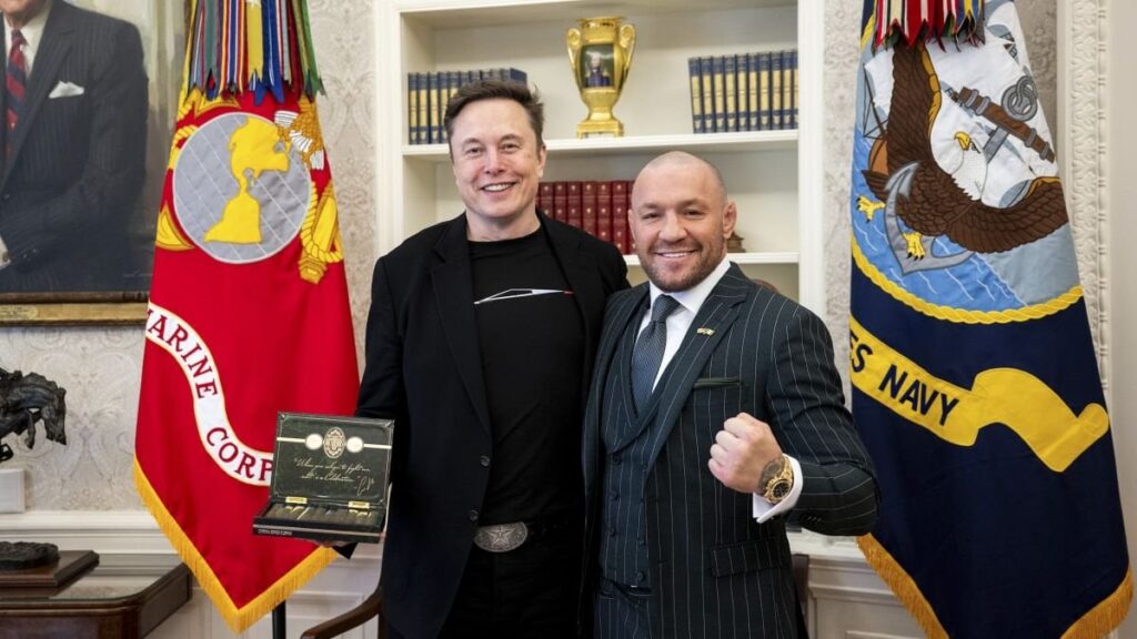 アイルランドの政治を妨害したと非難されたイーロン・マスク