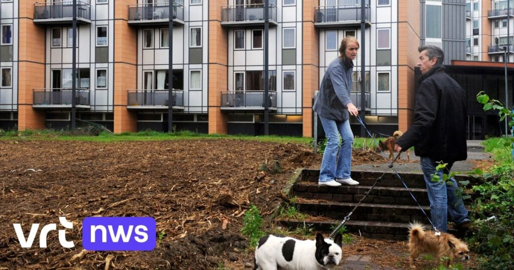 フランドルの住宅政策の貧弱な報告：「フランダースには社会住宅が少なすぎます」