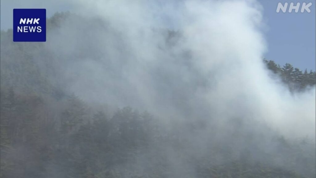 長野 上田 山林火災 火の勢い弱まる消火活動は 2日朝再開へ