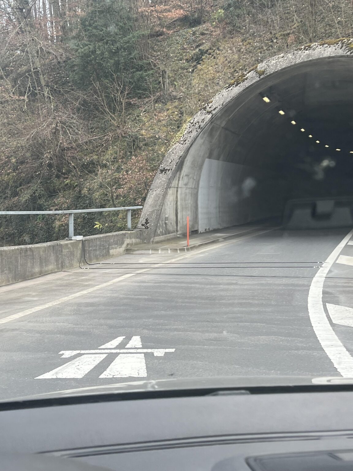 それらは何ですか？