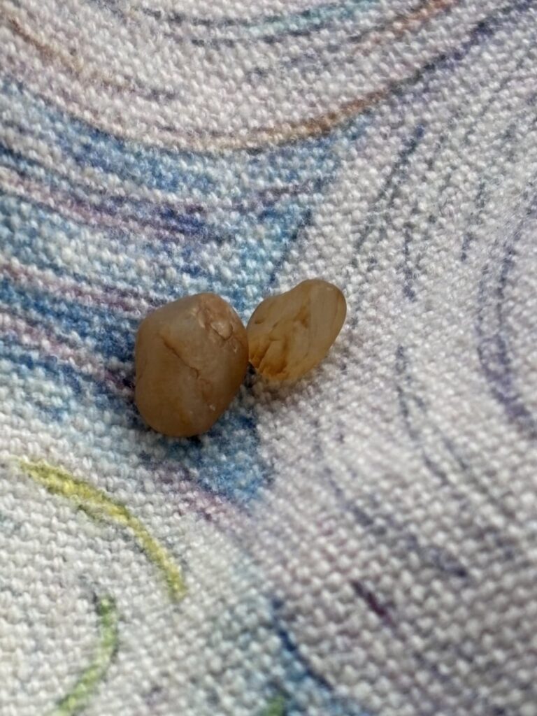 琥珀/蛍光体/他の何か？