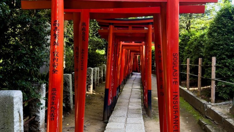 神社の鳥居で懸垂をしたチリ人インフルエンサー、日本にとどまらず世界中から非難の嵐｜Pen Online