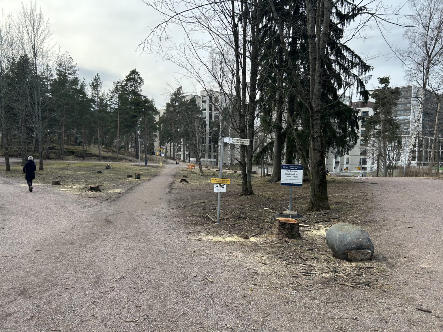 これは本当に必要でしたか？タピオラ、espoo