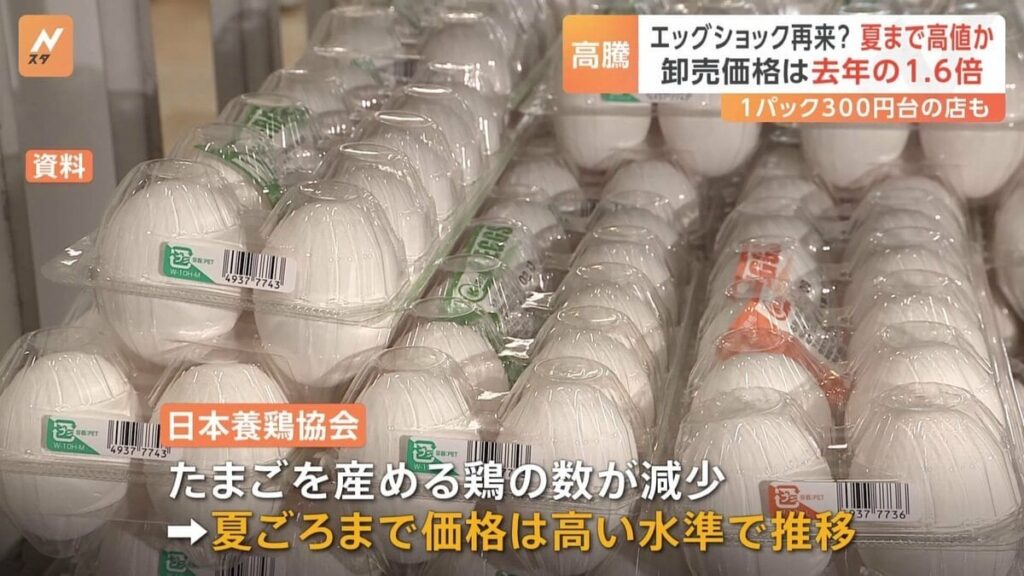 「エッグショック」が再来か？たまごの価格“過去最高値”に迫る 夏頃まで高値続く可能性
