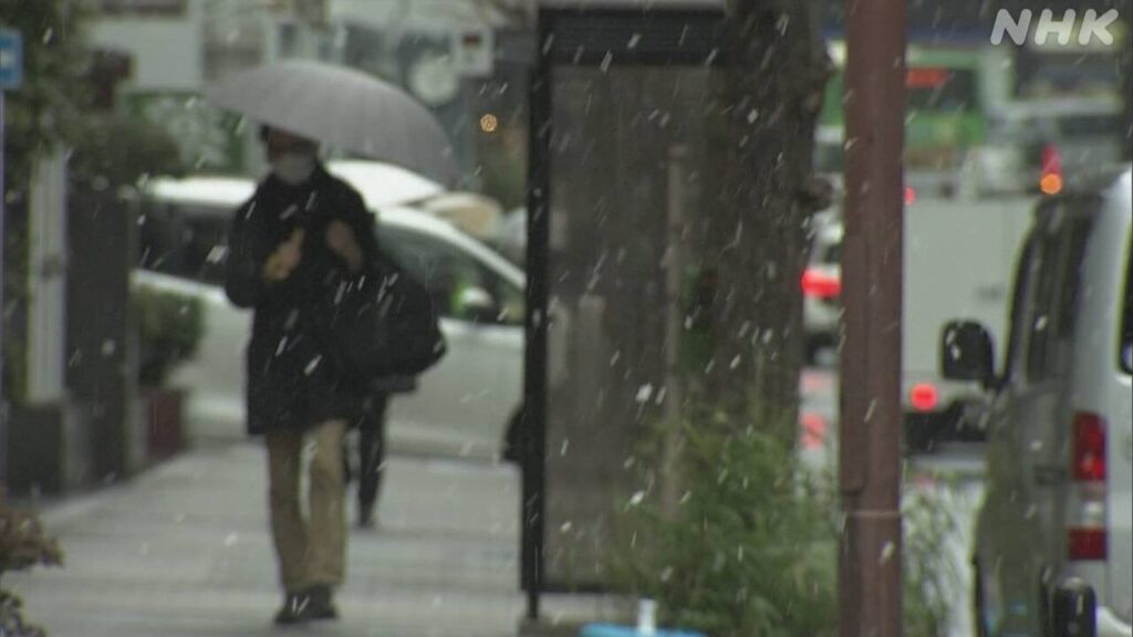東京都心で雪 4日の夜以降再び 関東甲信平地でも雪の見込み