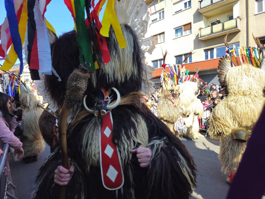 International Support、PTUJ