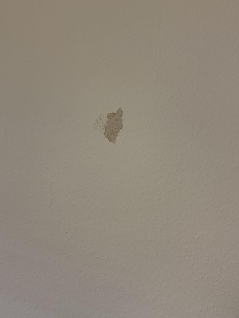 これを修正する方法はありますか？ Home SolutionsまたはAmazon.deにはありますか？