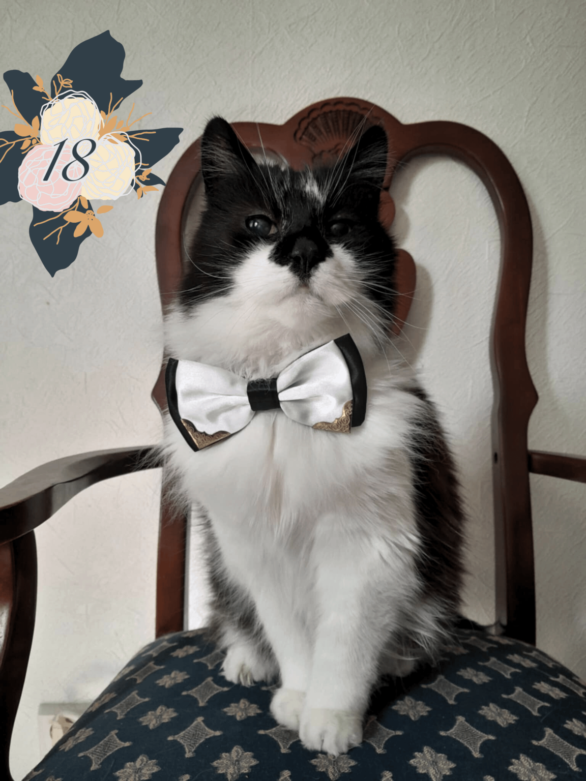 今日私の友人は18歳です！余分な猫のキャンディーともちろん新しいフライで祝います:)