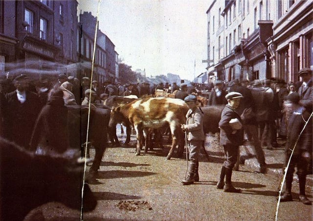 （おそらく）アイルランドで撮影した最も初期のカラー写真。 1913年の2か月間のアイルランド旅行中に、Marguerite MespouletとMadeleine Mignon-Albaが撮影しました。