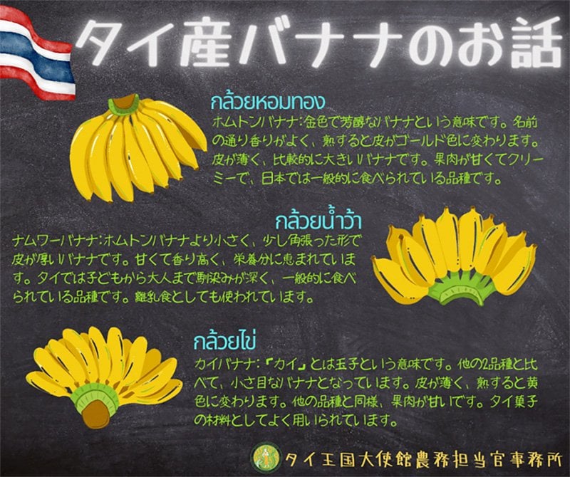 タイで「日本のバナナ消費事情」話題に 商務相の「コメよりバナナ」発言きっかけで…日本のバナナ消費事情に関する記事では、タイ王国大使館農務担当官事務所ホームページの「タイ産バナナのお話」の画像も紹介されている。「日本人のバナナ好き（神奈川県に限ってはついでにアワビも好き）」という認識がタイで広まる可能性がある。