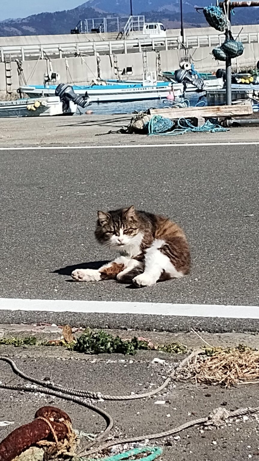 猫島はあるのに犬島がないのはどうして？