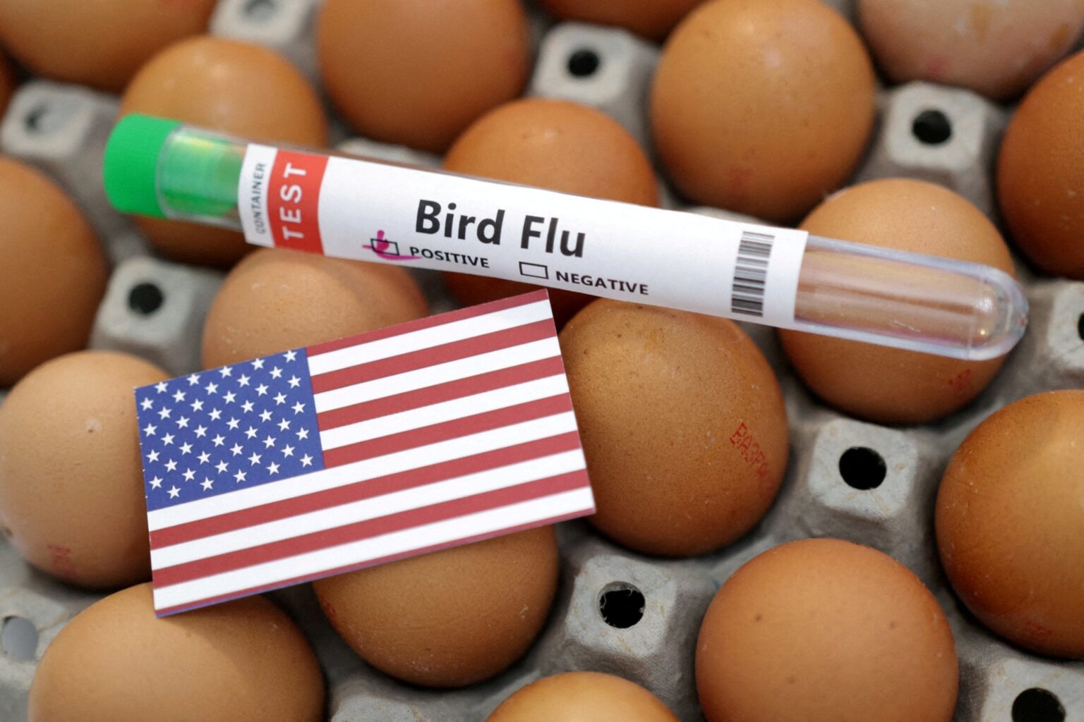 米、デンマークなど欧州諸国にも鶏卵輸出を要請　価格高騰で