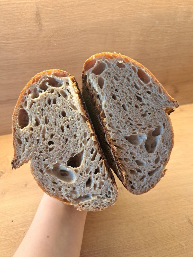 パン屋はいますか？