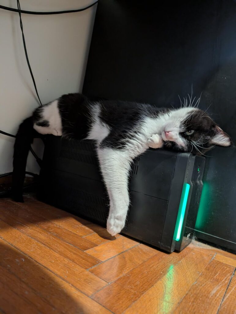 私の愚か