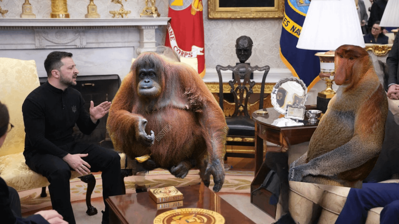 ゼレンスキーとトランプを見るにはどうすればよいですか