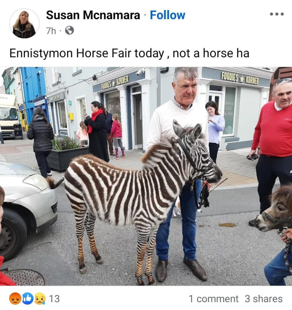 今日のEnnistymon Horse Fairのゼブラ-WTF？