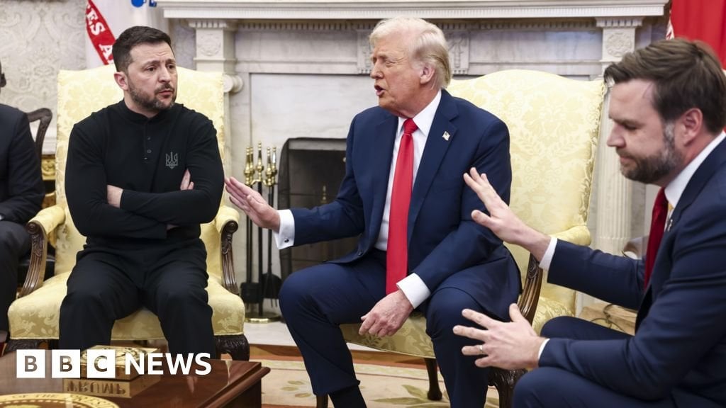 JDヴァンスのいとこは、彼を「Belitling」Zelenskyで批判しています