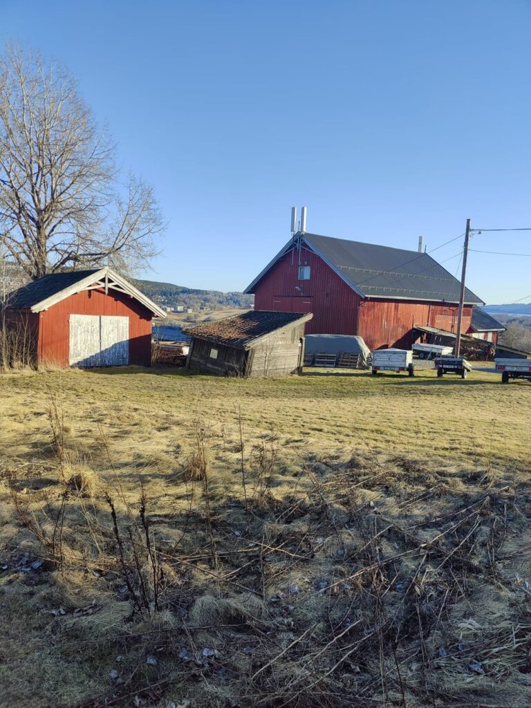 ノルウェー系アメリカ人は家族の農場を見つけました