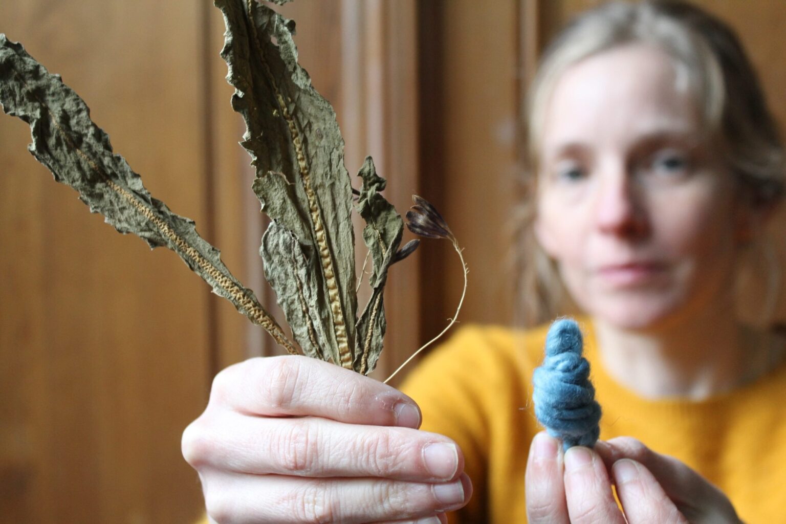 「ベルギーで初めて発見された中世の染料植物」-Medievalists.net