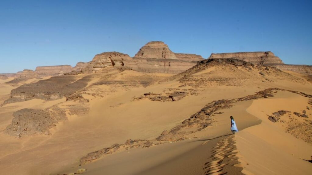 ７０００年前のサハラ砂漠のミイラ、古代のＤＮＡで起源の謎に迫る - CNN.co.jp
