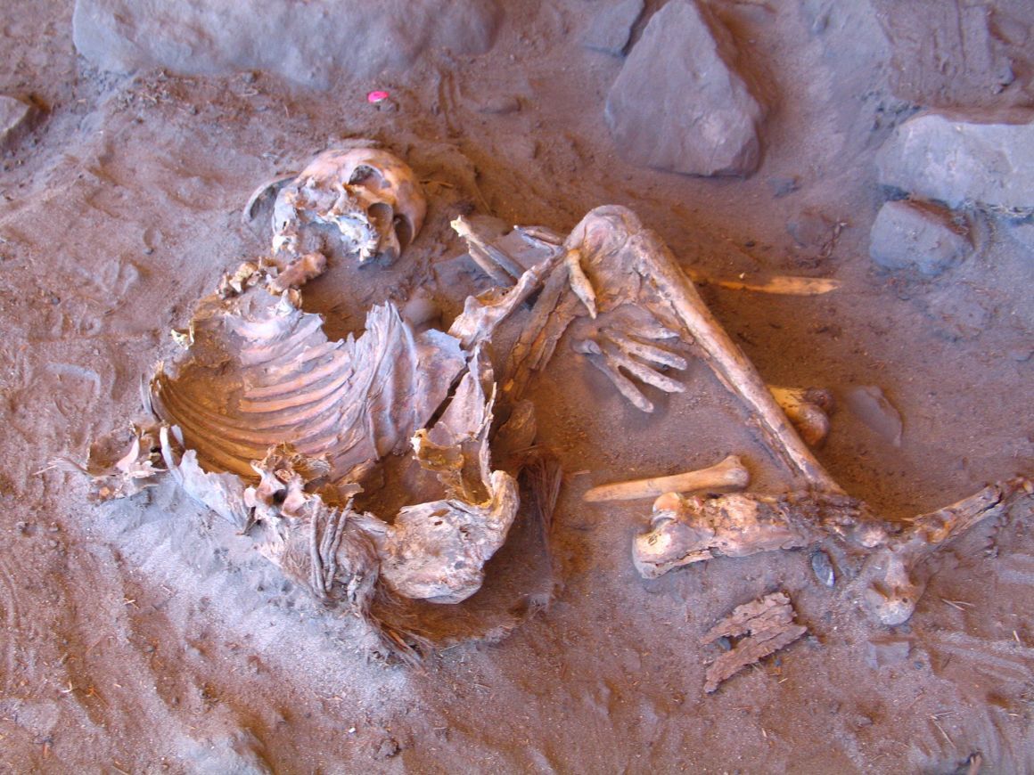 科学者は７０００年前の遺体から試料を採取して分析を行った/ Archaeological Mission in the Sahara/Sapienza University of Rome