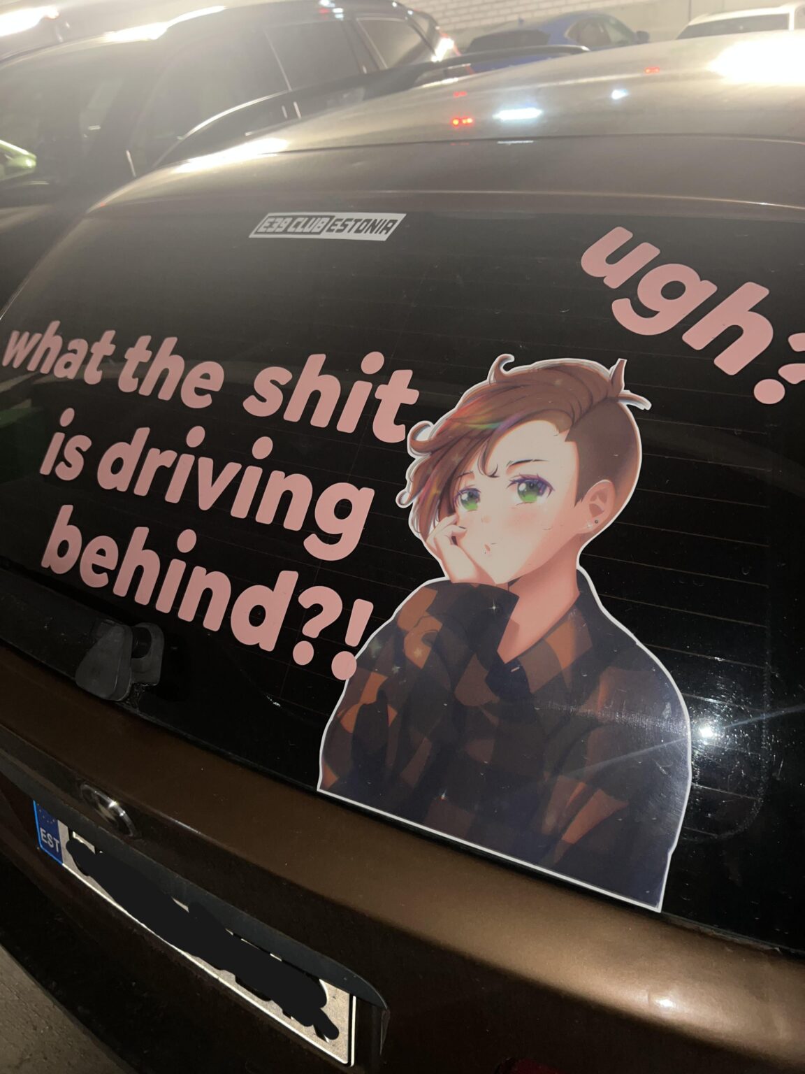 エストニア人あなたは落ち着く必要があります