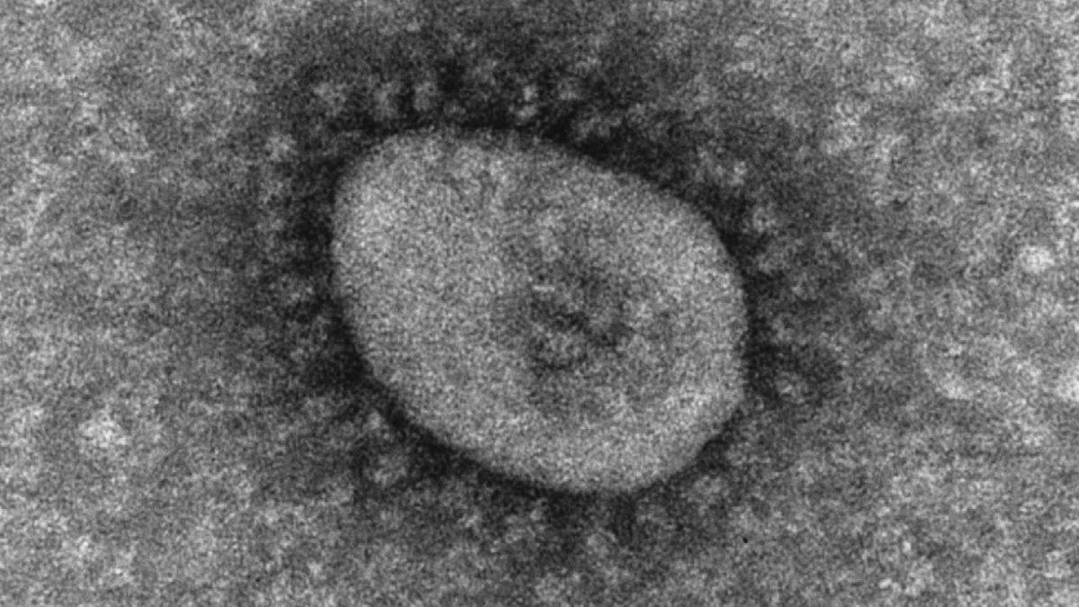 山形・感染症の最新状況 新型コロナの患者数は138人で前週より18人増 伝染性紅斑は警報レベルの地域も