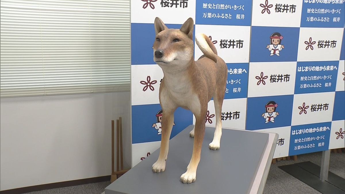 【速報】女王・卑弥呼と共に過ごした可能性も「邪馬台国」有力候補地から出土した骨から犬の模型を復元「異例の大きさ、朝鮮半島から渡来の可能性」奈良・纏向遺跡