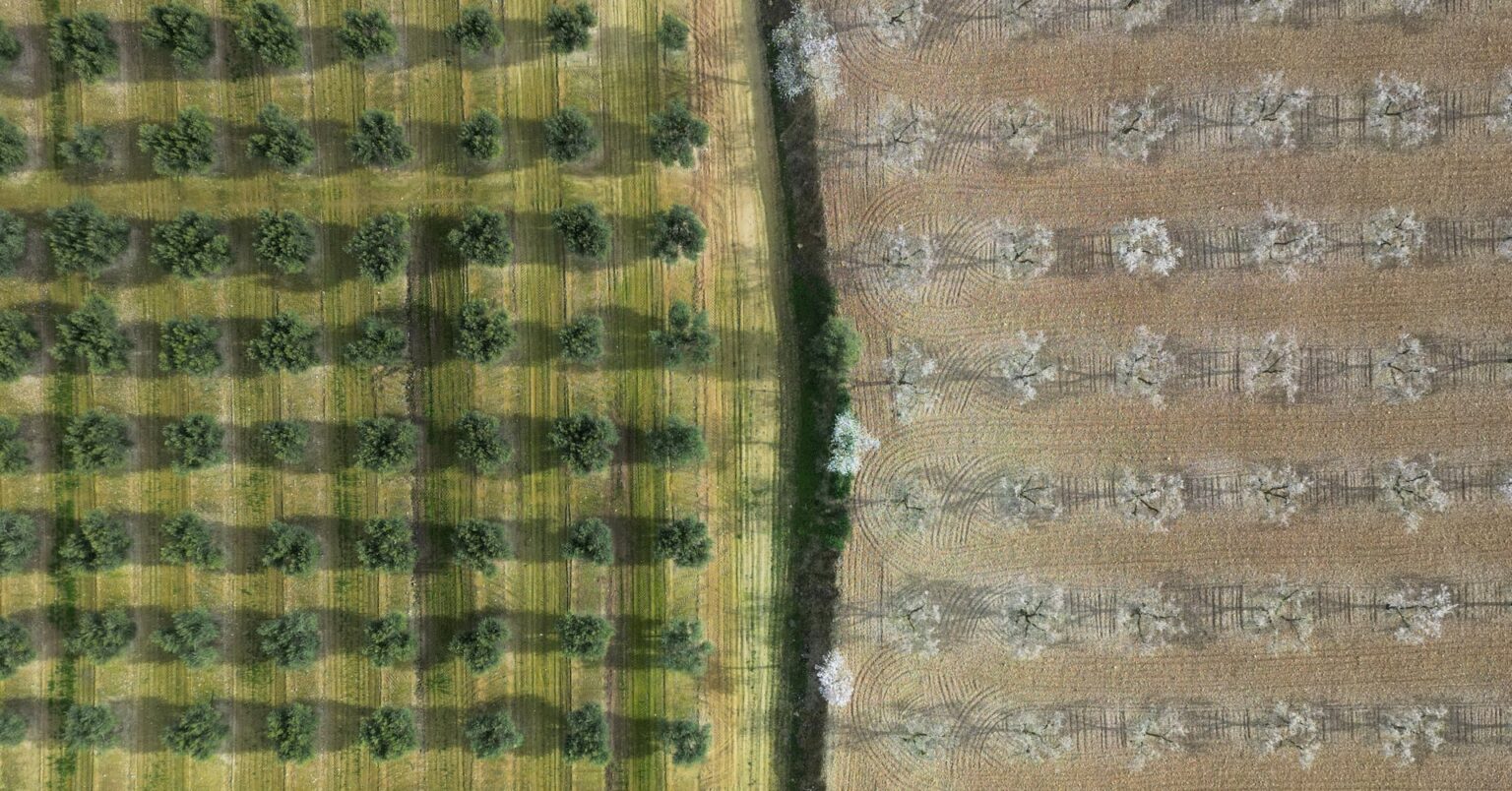 スペイン、関税対策で国内企業に大規模支援　米は「愚か」と首相 | ロイター