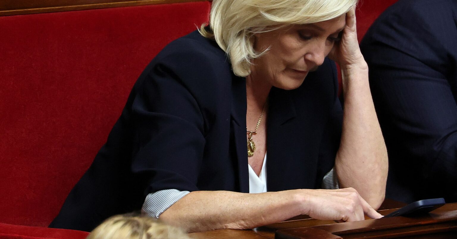 トランプ氏とマスク氏ら、仏で有罪判決のルペン氏に支持表明 | ロイター