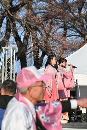 １５年ぶりの「さくら祭り」　福島県浪江町の請戸川沿い - 琉球新報デジタル