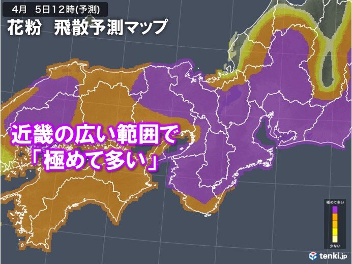 近畿のヒノキ花粉　飛散ピークへ　5日(土)と7日～9日は広く「極めて多い」予想