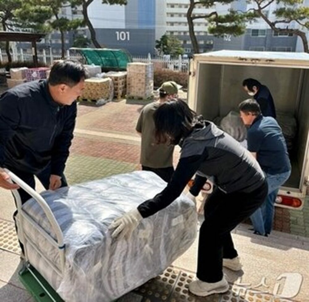 韓国・山火事被災地へ観光業界が相次ぎ支援…寄付や宿泊提供など 写真枚 国際ニュース:AFPBB News 韓国・山火事被災地へ観光業界が相次ぎ支援…寄付や宿泊提供など 写真枚 国際ニュース:AFPBB News