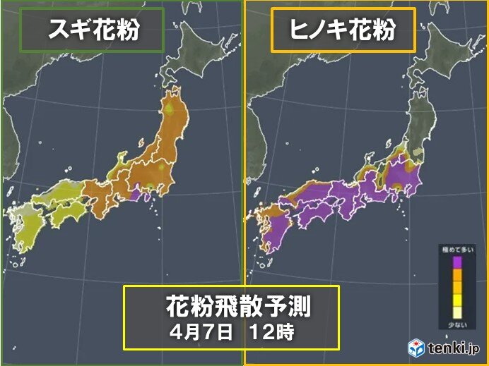 花粉飛散　九州～東北で極めて多い・非常に多い　ヒノキがピーク　対策はいつまで