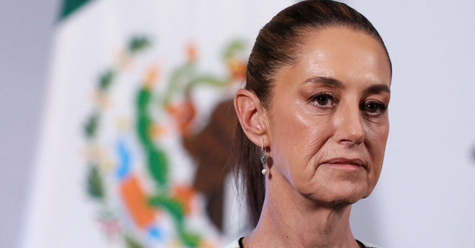 メキシコ大統領、米への報復関税見送りの意向　「排除はせず」 | ロイター