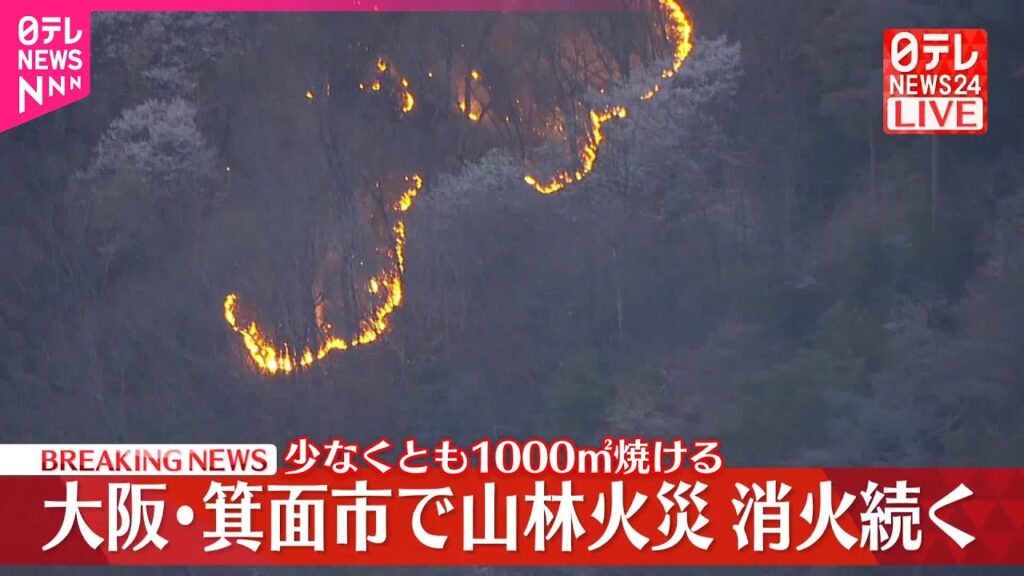 【速報】大阪・箕面市で山林火災  消火活動続く  少なくとも1000平方メートル焼ける