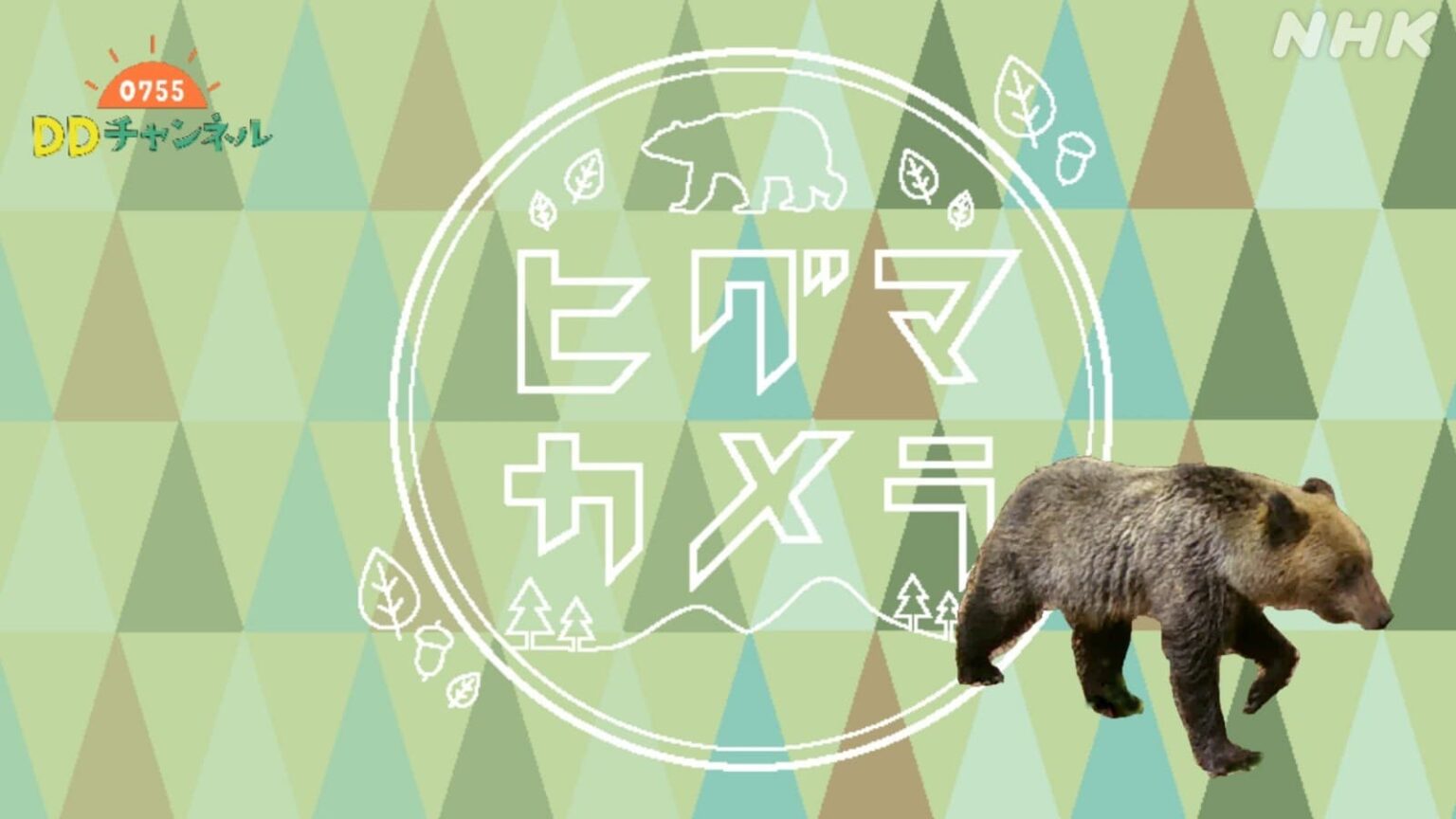 ヒグマカメラ #NHK北海道 #番組情報 | NHK北海道 ヒグマカメラ #NHK北海道 #番組情報 | NHK北海道