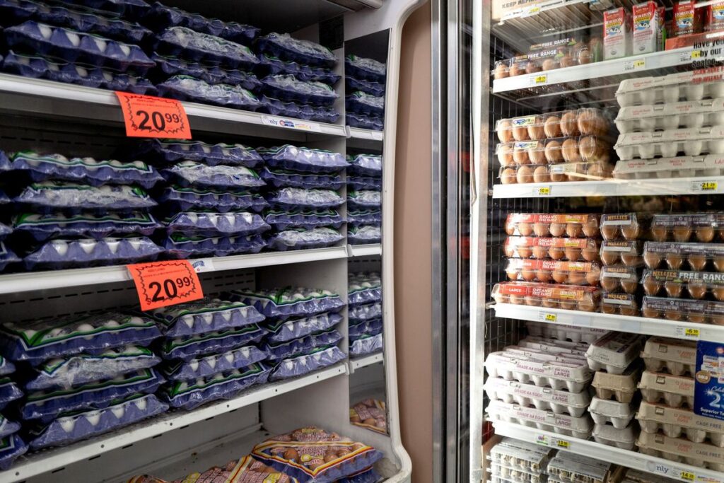米国で卵の消費者価格が過去最高－供給不安で小売り業者が高水準維持 - Bloomberg