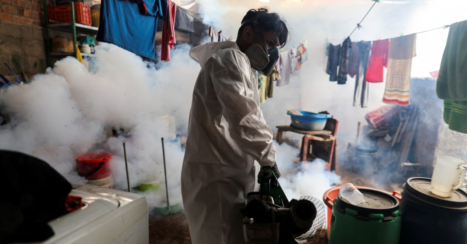ペルーのデング熱死者、年初から累計で前年比3倍超　気候変動影響か | ロイター