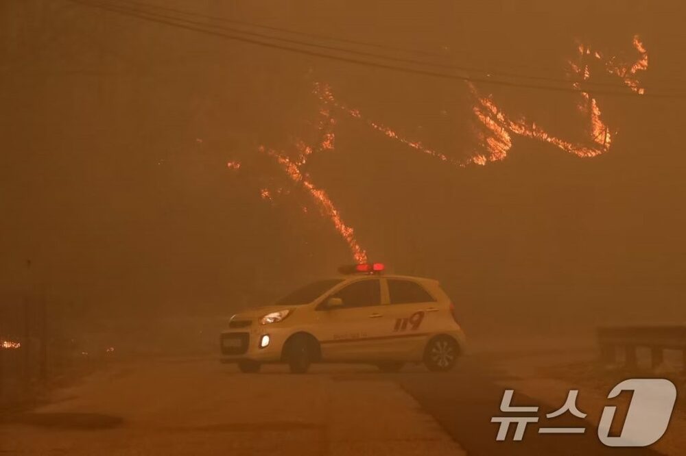 「山火事はもう日常」気候災害としての対策急務…韓国・専門家が警鐘　写真枚　国際ニュース：AFPBB News
