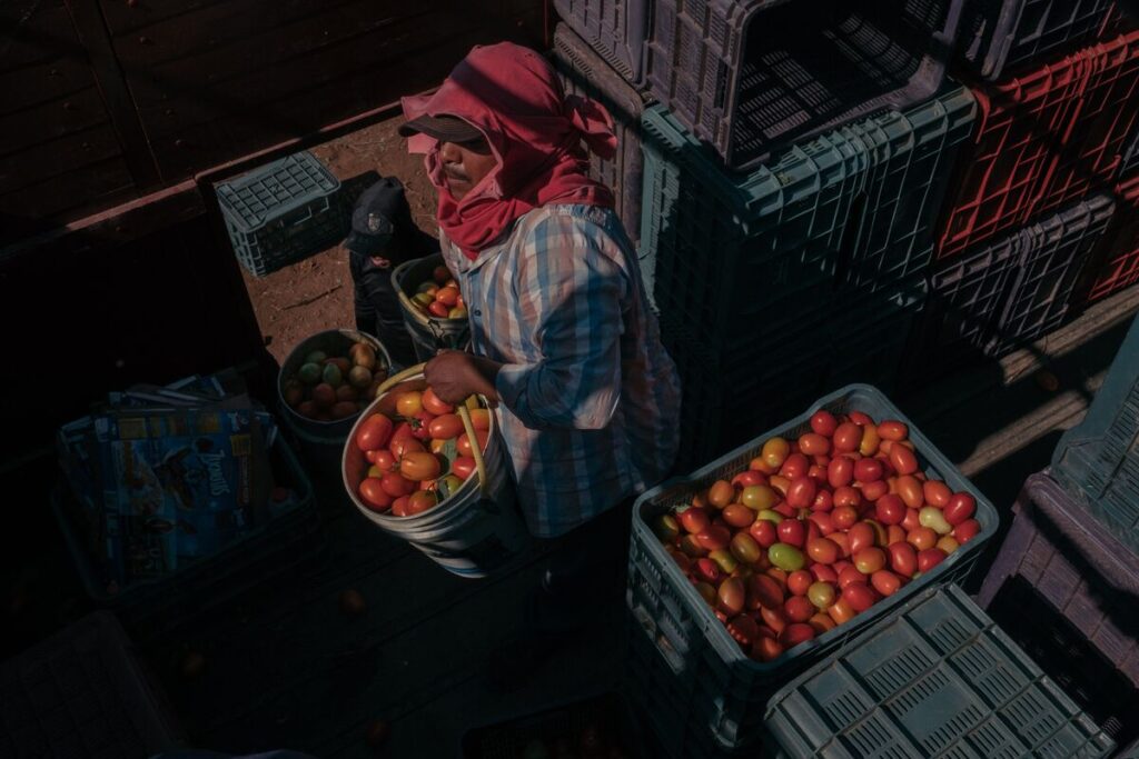 米国、メキシコ産トマトに約21％の反ダンピング関税－７月から - Bloomberg