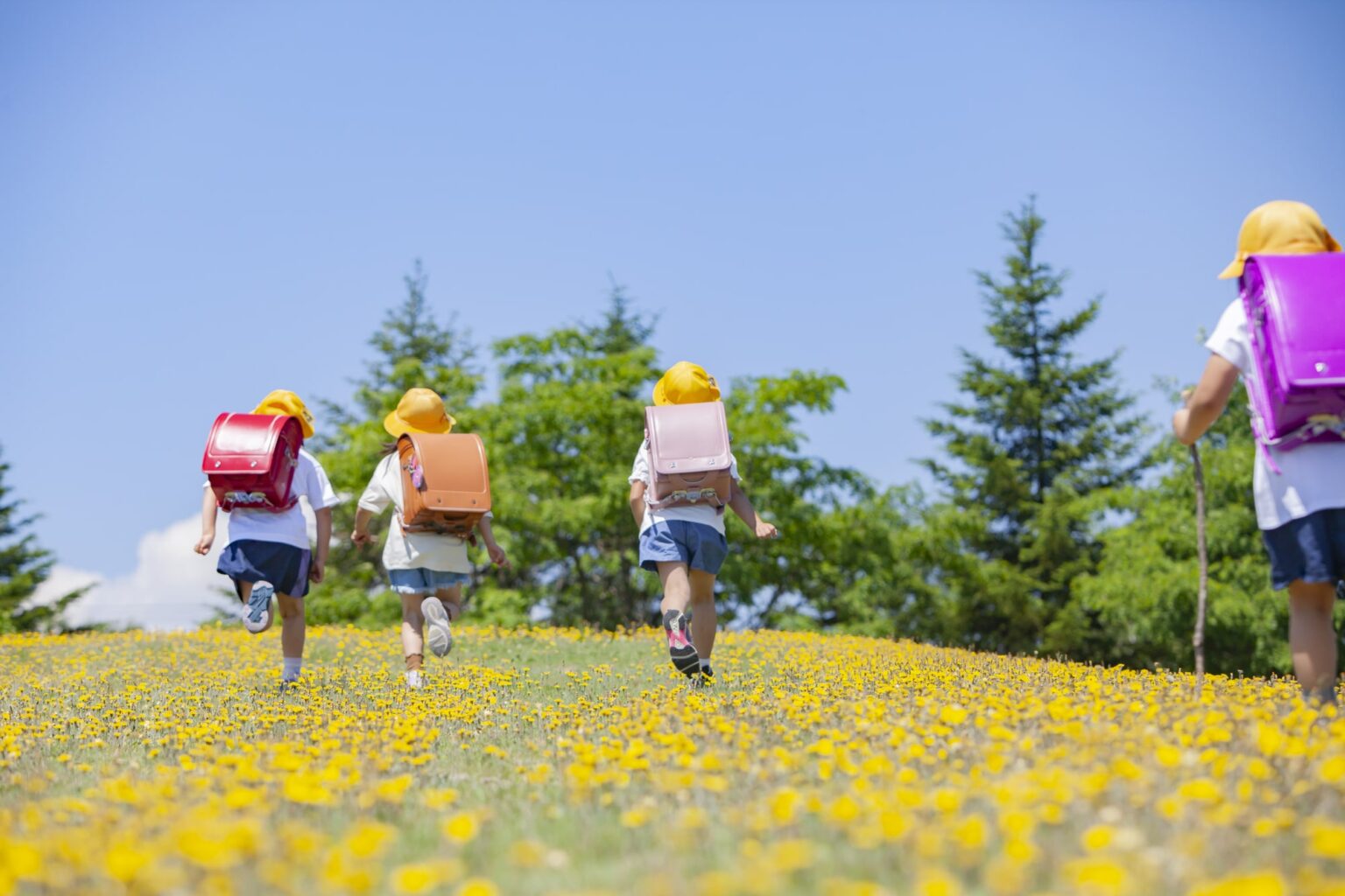子どもの数が43年連続で減少 特に「子どもが減っている都道府県」はどこ?【2024年度版】(1/2) | ライフ ねとらぼリサーチ – ねとらぼ 子どもの数が43年連続で減少 特に「子どもが減っている都道府県」はどこ?【2024年度版】(1/2) | ライフ ねとらぼリサーチ - ねとらぼ