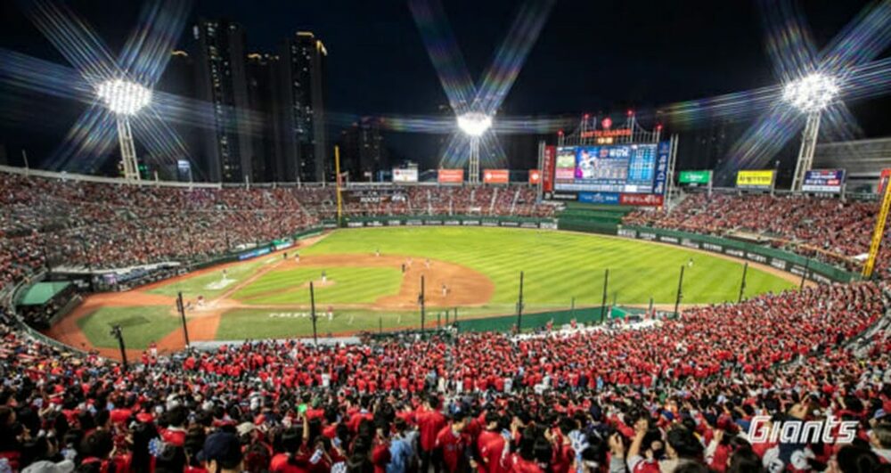 ロッテ・ジャイアンツ、1カ月遅れの「パンブーム」参戦…韓国プロ野球リーグ　写真枚　国際ニュース：AFPBB News