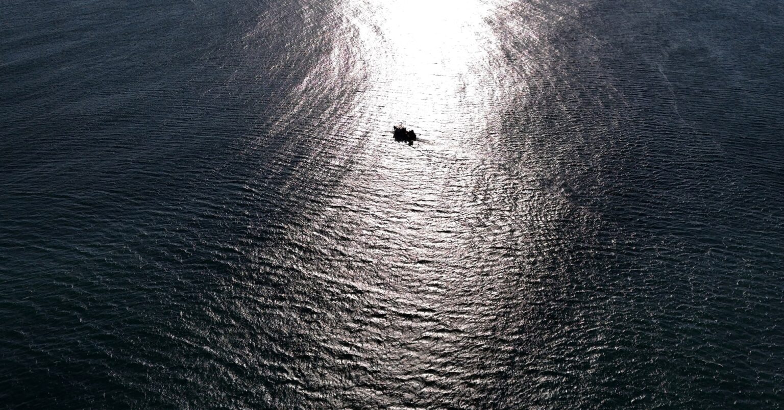 トランプ氏、水産物生産拡大で大統領令　海洋保護区を商業開放 | ロイター