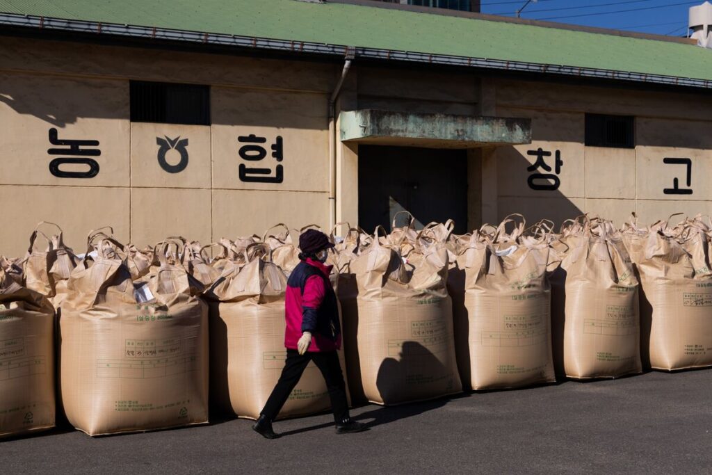日本が韓国からコメ輸入、1999年以降初めて－価格高騰で異例の機会 - Bloomberg
