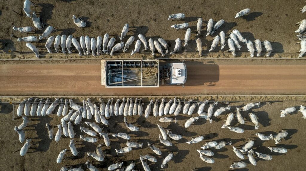 ブラジルとアルゼンチンに農産物輸出拡大の好機、貿易戦争が追い風に - Bloomberg