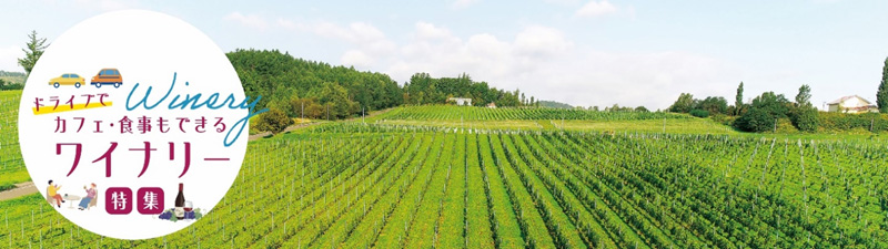 ドライブでカフェ・食事もできるワイナリーのイメージ画像