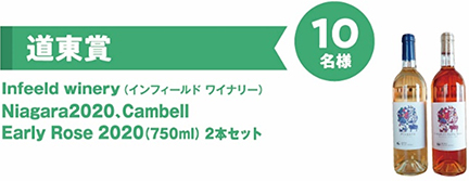 道東賞　Infeeld winery（インフィールド　ワイナリー）Niagara2020、Cambell Early Rose 2020（750ml）2本セット　10名様のイメージ画像