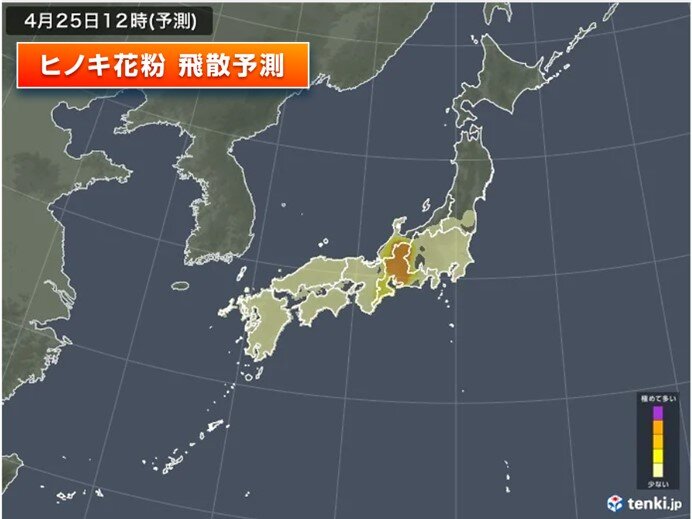 ヒノキ花粉もまだ飛散中