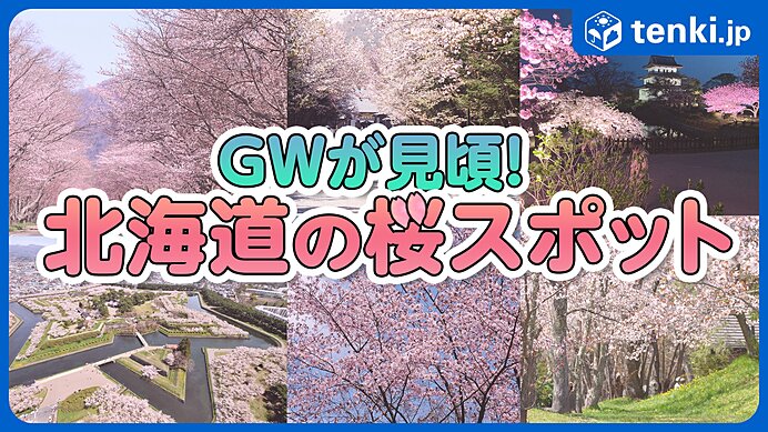 北海道の桜はゴールデンウィークが見頃！道内の桜の名所を一挙紹介！
